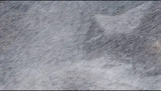 Winter Sanctuary in Blizzard | Frozen Soundscape for Relaxation & Focus | Howling Winds & Snowstorm