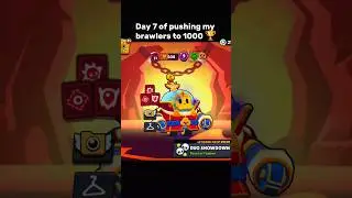 Pushing Sprout to 1000 🏆 (Part 2)