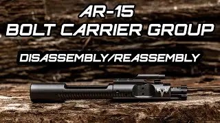 AR-15 Bolt Carrier Group Disassembly & Reassembly | Step-by-Step BCG Guide