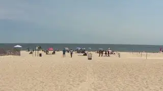 Dead tiger shark washes ashore at Robert Moses Beach