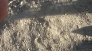 M4V00410