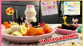 IZAZAGA 89 🤯 YA LLEGARON LOS PALILLOS PARA LONCHE 🤯