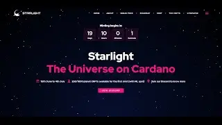 STARLIGHT NFT NEXT X 100 PROJECT 💣| NFT Market Update