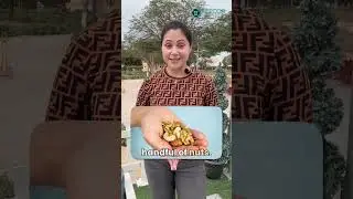 Ramadan Energy Boost ⚡ Smart Fasting Tips for Iftar.