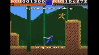 Ninja Gaiden Short Playthrough using a Game Gear Cheat Code :D #GameGear #Sega #CheatCodes #Gaming