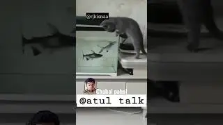 kaise ho chahal pahal betiya#comedy #shorts #dubbing #atultalk #ytshort #dubkendra #rjkrishna #short
