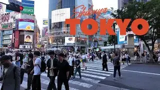 日本Vlog 🇯🇵　渋谷交差点の朝 | Morning Walk at Shibuya Crossing &ndash; Tokyo 🌤️【4K Lofi】