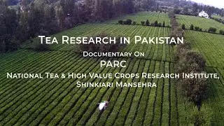 Tea Research In Pakistan | Processing Plant in Pakistan | Documentary on PARC-NTHRI  Mansehra