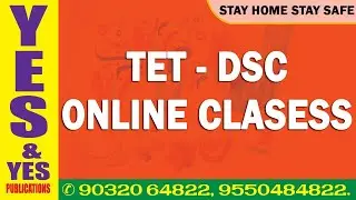 Онлайн-коучинговые занятия TET и DSC от Yes & Yes Publications