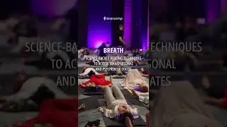 The Holosomatic Experience is back