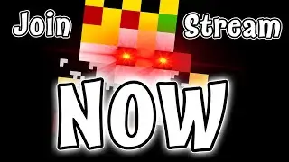 DUO RotMG Randomizer W/ @sebchoof