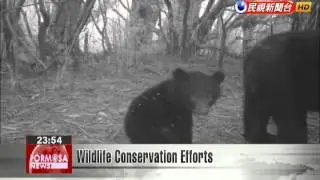 Wildlife Conservation Efforts