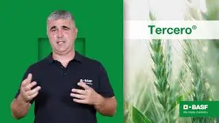 TERCERO&reg; | &Scaron;irokolisni korovi nemaju &scaron;anse