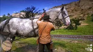 Red Dead Redemption 2 - Gameplay (PS4 HD) [1080p60FPS]
