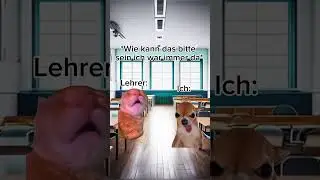POV: Rambazamba f&uuml;r die Note #cat #kurzgesagtinanutshell #funny #lustig #katze #memes