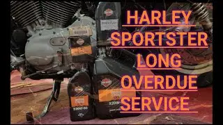THE SALT SAUCER SPORTSTER FINALLY GETS A SERVICE! (harley primary chain tension and oil change)