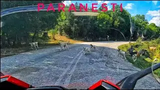 Paranesti FZ1