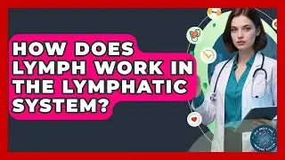How Does Lymph Work In The Lymphatic System? - All About the Immune System