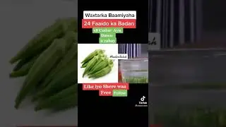 Waxtarka baamiyaha,24 Faido Madan ,Okra