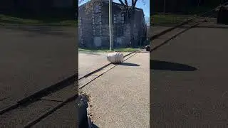 Бочки из-под бурбона закатываются в хранилище на винокурне Woodford Reserve.
