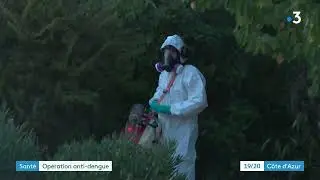 Un cas de dengue &agrave; Fayence dans le Var, op&eacute;ration de d&eacute;moustication