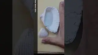 FOSSIL vs MODERN 13 The ARK Shells