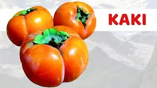1 morceau de kaki le soir fait cela &agrave; votre corps | Quels sont les avantages du kaki?