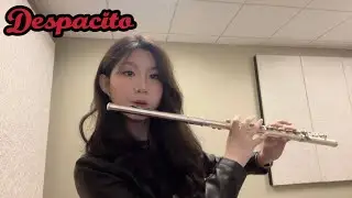 Despacito - Luis Fonsi flute cover by Becca