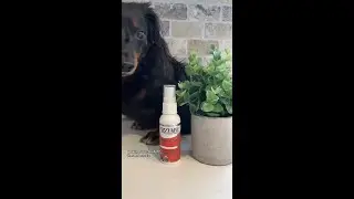 Soothe Itchy Skin Fast with ZYMOX Topical Spray