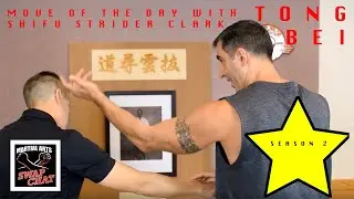 Tong Bei - Moves of the Day