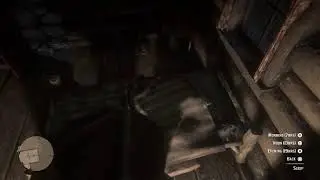 Wild West Immersion. Stoned. Mostly.