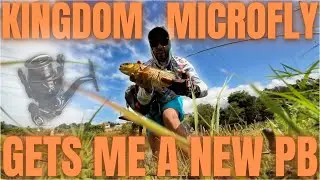 Kingdom Microfly Pro TESTED! Just Smashed my CHUB PB!