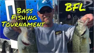 MLF BFL's How To Sign Up And What To Expect