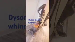 Dyson dc40 origin being whinny