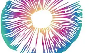 Chris Bache - LSD and the Mind of the Universe: Diamonds from Heaven