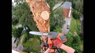 Husqvarna T540i XP akkusaha kiipeilykaatoihin
