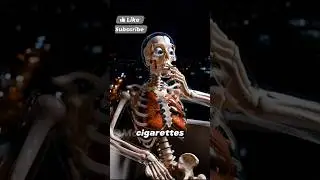 🚬 How many cigarettes before your lungs just&hellip; give up? Watch this before your next puff. 😳