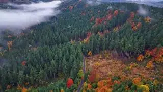 scenic drone journey, serpentine aerial shot showcasing moody autumn forest along winding scenic