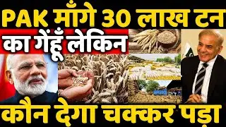 Pakistan want 30 Lakh Ton Wheat To Control Prices And Counter Food Crisis But Which Country Help ?