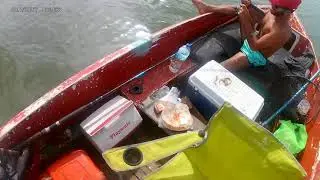 Guitarshark fishing