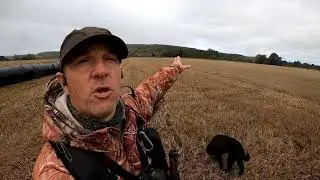 Silver talks, gold is silence. Metal detecting coin hunting in Scotland with minelab equinox 600.