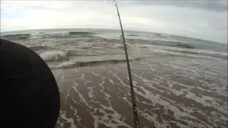 Spinning Bluefish Log Surf 124