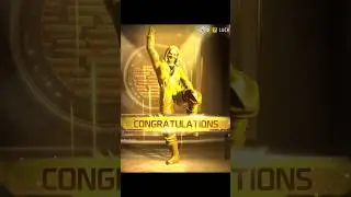 Golden Criminal Bundle 😍