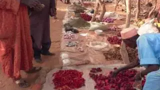 Food crisis in Niger