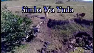 SIMBA WA YUDA ST. JOSEPH'S MIGORI VOLE 20