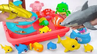[Toy asmr] RC Crocodile & RC Shark & Zuru Robo Fish & Harp's Aquarium ASMR Satisfying with Unboxing