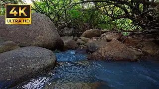Waterfall Sounds in Nature &ndash; Deep Sleep & Meditation