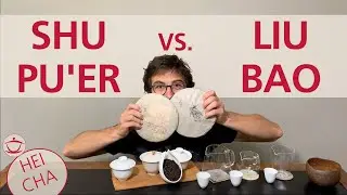 TASTING HEI CHA: Shu Pu'er vs. Liubao