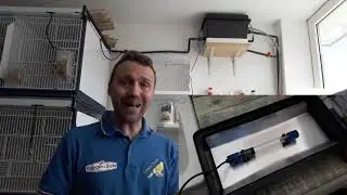 Canary Team - Impianto dell'acqua, manutenzione e migliorie