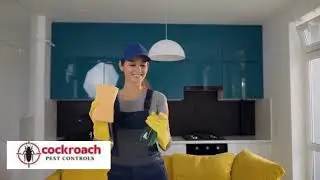 Expert Pest Control Team at Work | Safe & Reliable Pest Solutions